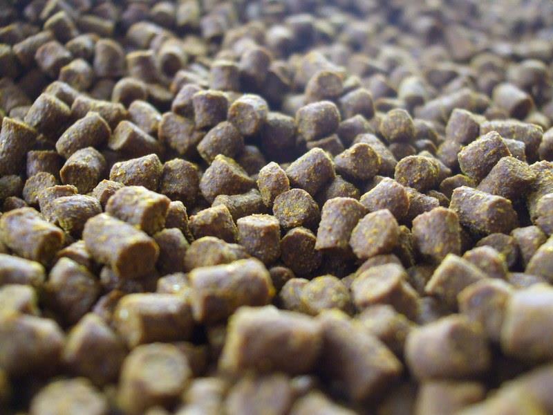 senzor peste tot - dscf5935.jpg